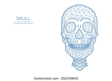 Human skull low poly art. Polygonal vector illustration of a skull front view.