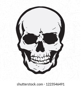 Human skull with a lower jaw black and white monochrome illustration