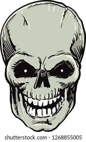 Human skull with a lower jaw. - Vector