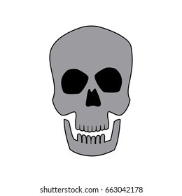 human skull male medical biology science
