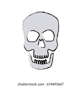 human skull male medical biology science