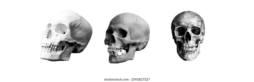 human skull model turned sideways isolated on white background  treat boo scary retro grunge halftone dotted texture vintage magazine style collage element for mixed media design