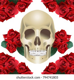 Human Skull Modern Style and roses on a white background