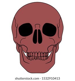 Human skull. Monochrome silhouette. Isolated vector illustration.
