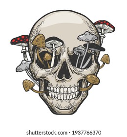 Human skull   mushroom sprouted color sketch engraving vector illustration  Scratch board style imitation  Hand drawn image 
