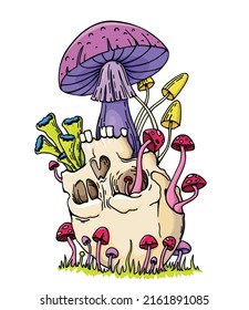 Human skull   mushroom sprouted sketch vector illustration  Magic Psychedelic Mushrooms   skull  Tattoo   t  shirt design skull mushroom engraving color style  Hand drawn Scratch style print 