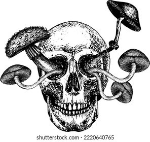 Human skull with mushrooms growing from it. Black and white vector hand drawing for tattoo. Composition personifying death