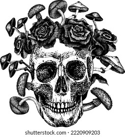 Human skull with mushrooms and roses growing from it. Black and white vector hand drawing for tattoo. Composition personifying death