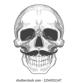 Human skull with mustache.