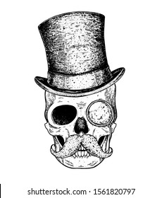 Human skull with mustache hand drawn illustration. Cylinder hat on the skull. Tattoo vintage print. Retro skull sketch illustration. Vector print. Engraved style.