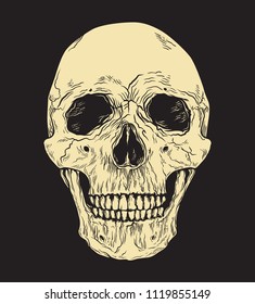 Human skull on black background. Hand drawn vector illustration.