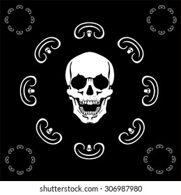 a human skull on a black background