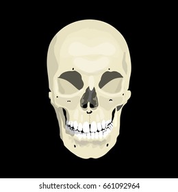 Human skull on a black background