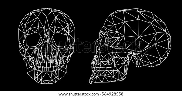 黒い背景に人間の頭蓋骨 正面と側面 幾何学的なポリゴンと三角形の頭蓋ラインアート のベクター画像素材 ロイヤリティフリー
