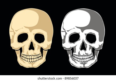 Human skull on black. Separate layers
