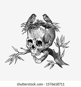 Human skull on a branch with birds. Retro old school sketch for tattoo in vintage style. Monochrome Symbol of the Day of the Dead. Hand drawn engraved retro badge for t-shirt, banner, poster and logo.