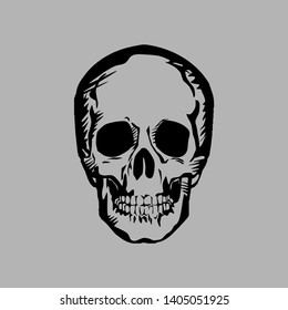 human skull on gray background. vector drawing for illustrations
