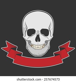 Human skull on isolated black background, excellent vector illustration, EPS 10