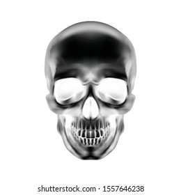 Human Skull on White Background. The Concept of Death, Horror. A Symbol of Spooky Halloween