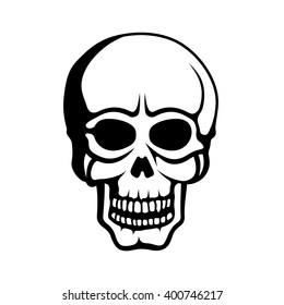 Human Skull on White Background. Vector