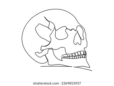 The human skull. One line drawing, vector illustration.