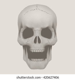 Human skull with open mouth in vintage halftone sketch style. Vector Illustration isolated on background.