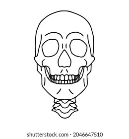 Human Skull Outline Icon, Front View