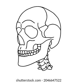 Human Skull Outline Icon Isolated On White Background