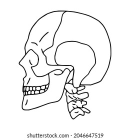 Human Skull Outline Icon, Side View