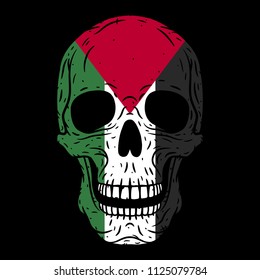 
Human skull with Palestine flag isolated on black background