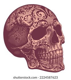 Human skull with patterns. Editable hand drawn illustration. Vector vintage engraving. Isolated on white background. 8 eps