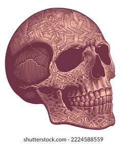 Human skull with patterns. Editable hand drawn illustration. Vector vintage engraving. Isolated on white background. 8 eps