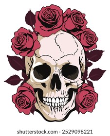 Human skull with pink roses around. Day of the Dead. Vector isolated illustration.