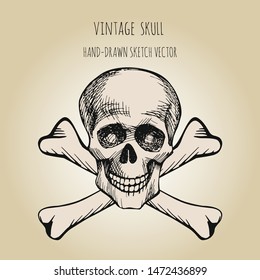 Human skull. Pirate symbol. Jolly Roger. Hand drawn sketch vector