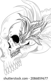 Human skull and plant vector illustration