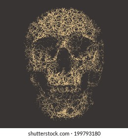 Human skull print template. Vector.