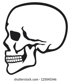 Human Skull Profile 