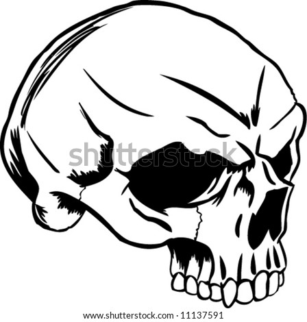 Human Skull Profile Stock Vector (Royalty Free) 11137591 - Shutterstock