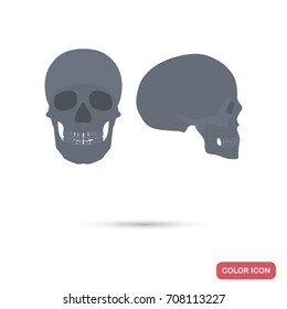 Human Skull Profile And Facet View Color Flat Icons For Web And Mobile Design