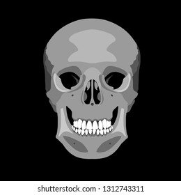 Human skull in profile and in full face. Vector illustration