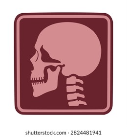 Human Skull Profile View X Ray Graphic