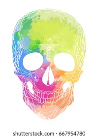 Human skull with rainbow watercolor splashes on a white background. Vector element for your design