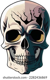 Human Skull realistic vector illustration