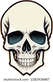 Human Skull realistic vector illustration