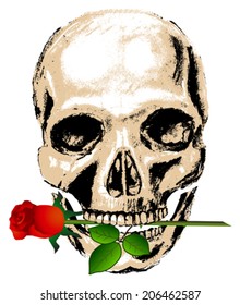 Human skull with red rose
