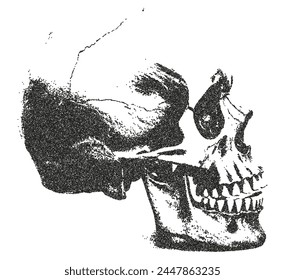 Human skull with a retro photocopy and grain effect.