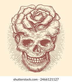 Human skull with rose flower. Skeleton head vintage vector illustration. Sketch drawing