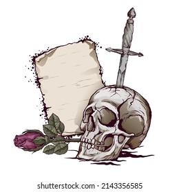Human skull with a rose on a white background