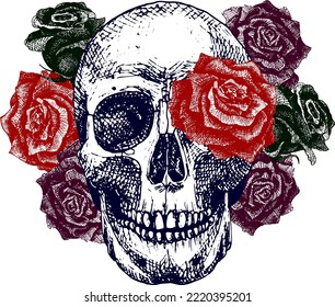 Human skull with roses. Color vector hand drawing for tattoo. The composition personifies death, psycho-esotericism, the state of hallucinations. Blooming skull