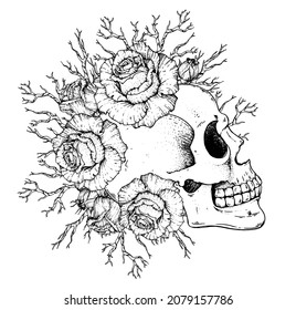 Human Skull and roses flowers hand drawn illustration. Sketch illustration. Tattoo vintage print. Skull and roses. T-shirt design.